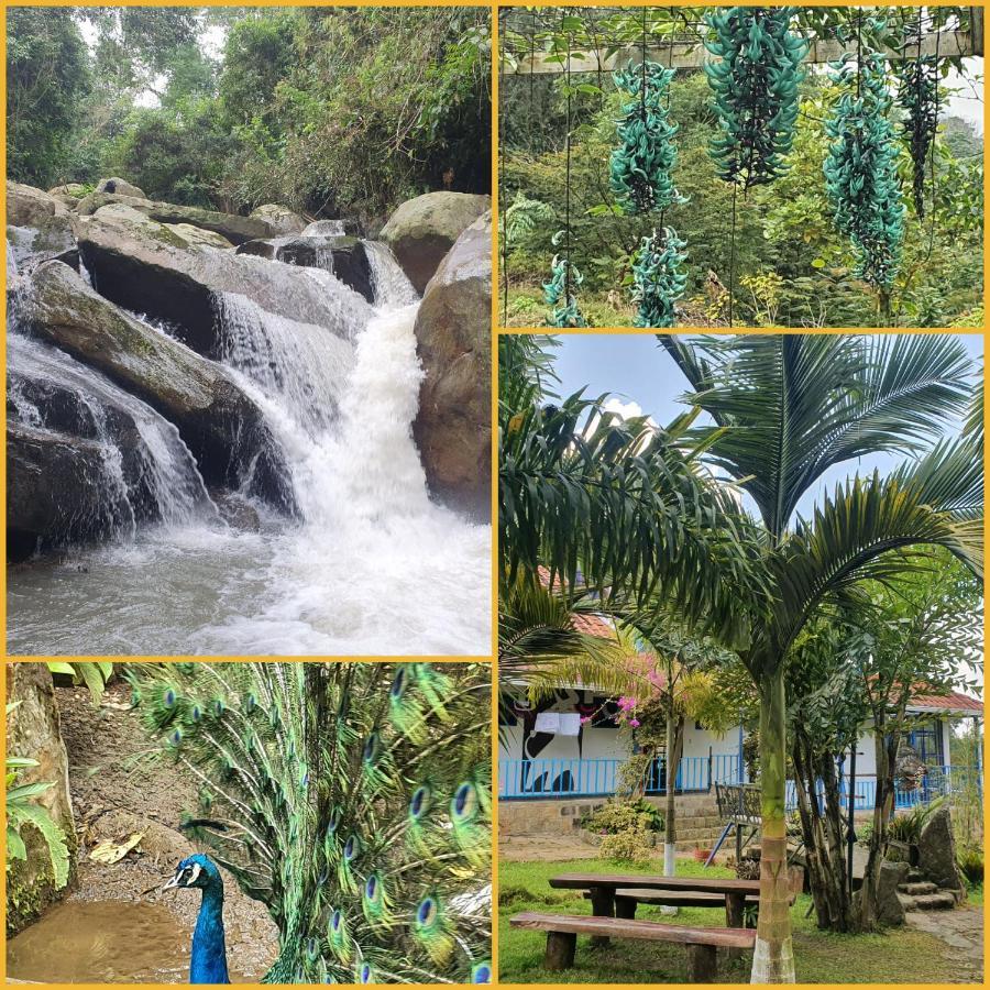 סאסאימה Finca Jardin Del Agua מראה חיצוני תמונה