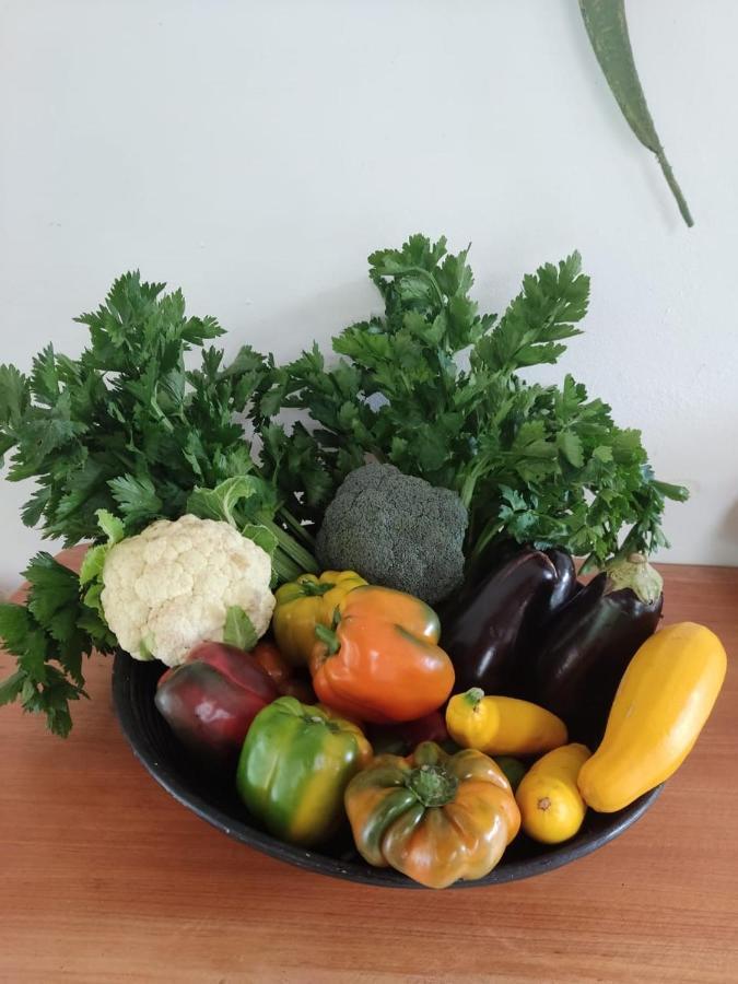 סאסאימה Finca Jardin Del Agua מראה חיצוני תמונה