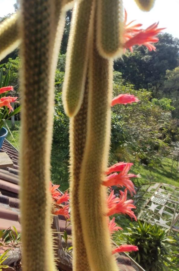 סאסאימה Finca Jardin Del Agua מראה חיצוני תמונה