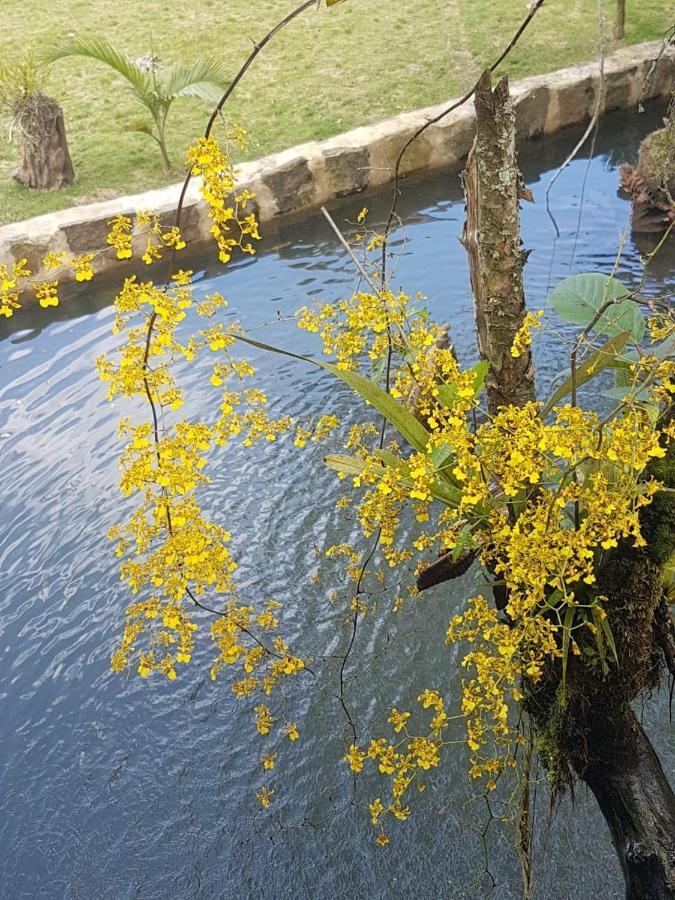 סאסאימה Finca Jardin Del Agua מראה חיצוני תמונה
