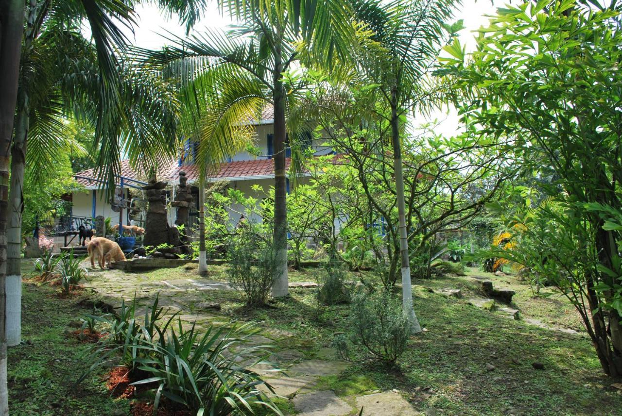 סאסאימה Finca Jardin Del Agua מראה חיצוני תמונה