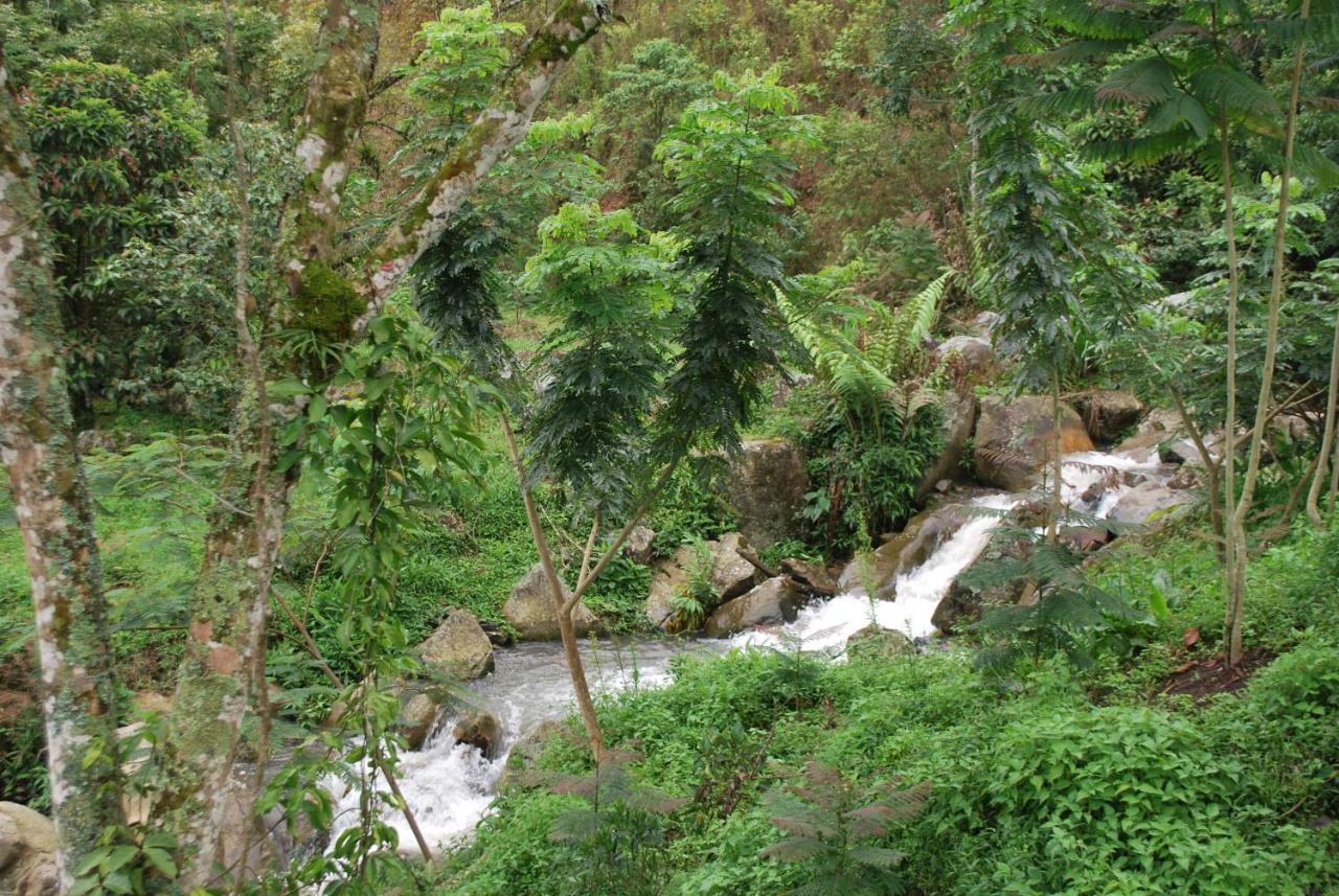 סאסאימה Finca Jardin Del Agua מראה חיצוני תמונה